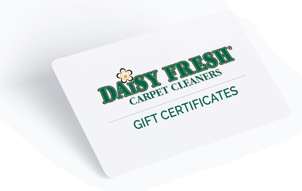 Gift Certificates and coupons available